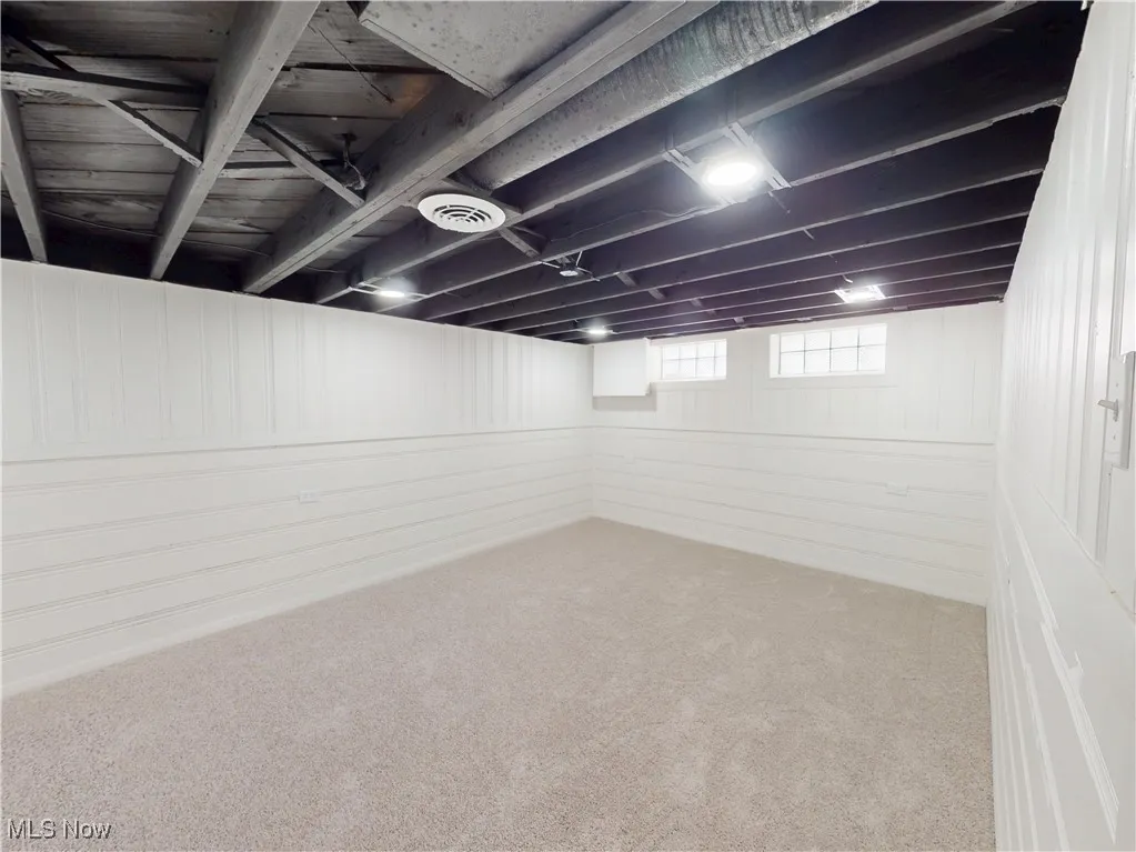 Basement featuring carpet floors