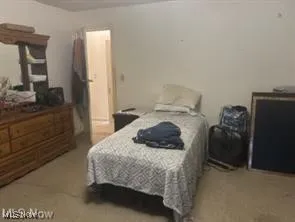 Bedroom with carpet flooring