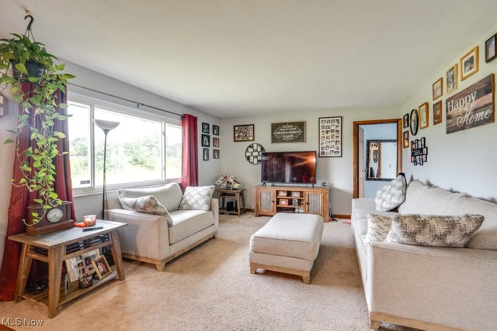 Living room featuring light carpet