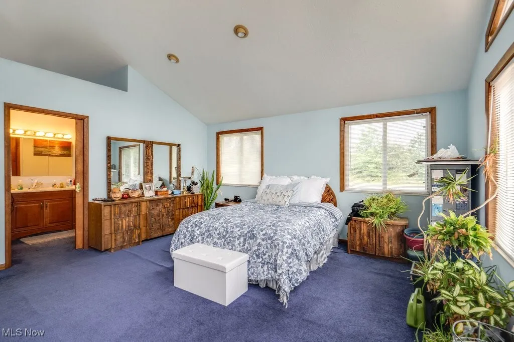 Bedroom with vaulted ceiling, carpet floors, and connected bathroom