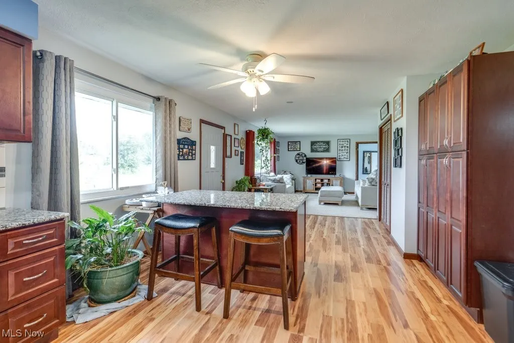 Kitchen with a breakfast bar, light wood-style floors, a ceiling fan, light stone counters, and dark brown cabinets