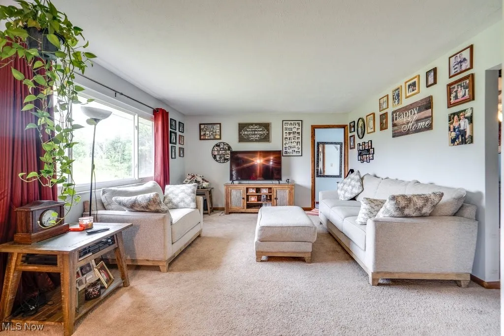 Living area featuring light carpet