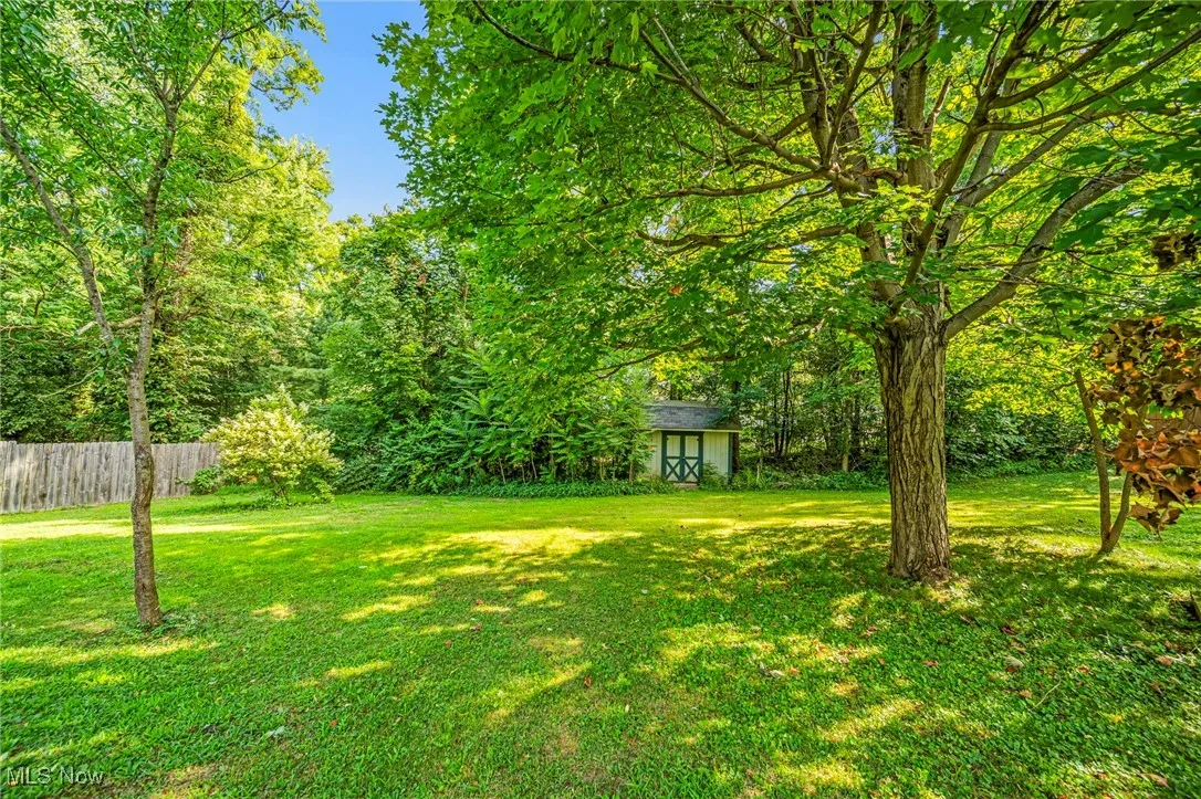 View of yard featuring shed