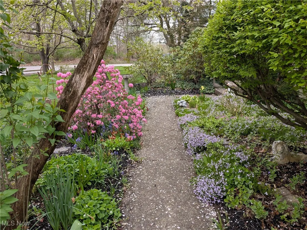 View of yard in SPRING