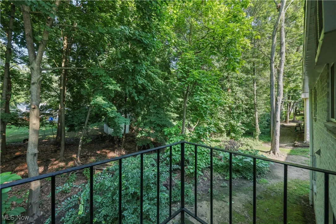 Wooded view