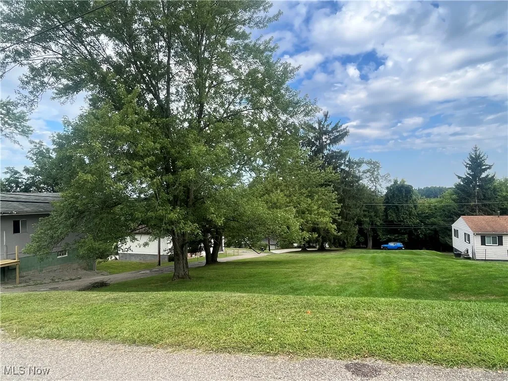 0 Newell Avenue, St Clairsville, Ohio,MLS Now Listing ID