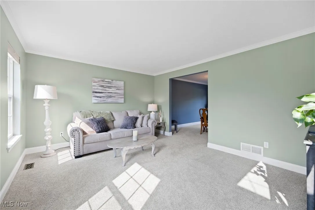 Carpeted living room featuring crown molding