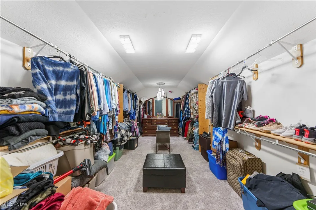 Spacious closet featuring carpet floors and lofted ceiling