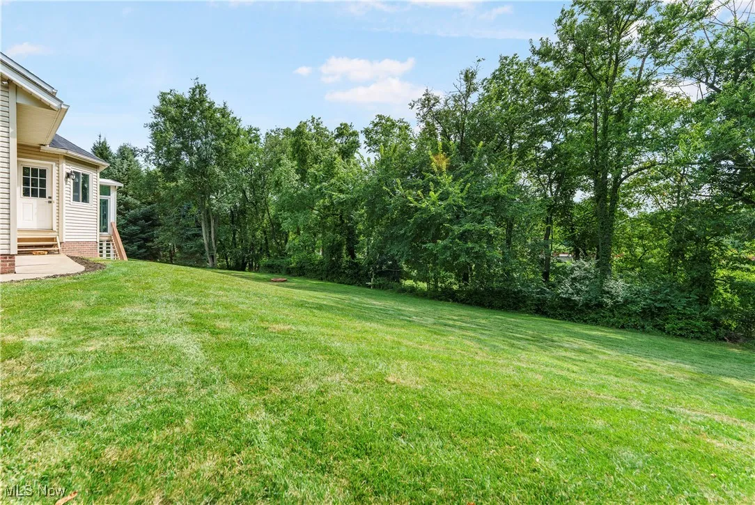 View of grassy yard with entry steps and view of scattered trees