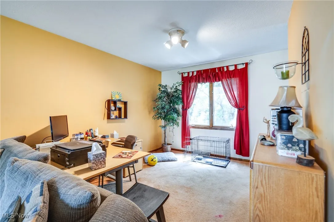 6688 Renwood Road, Independence, Ohio,MLS Now Listing ID