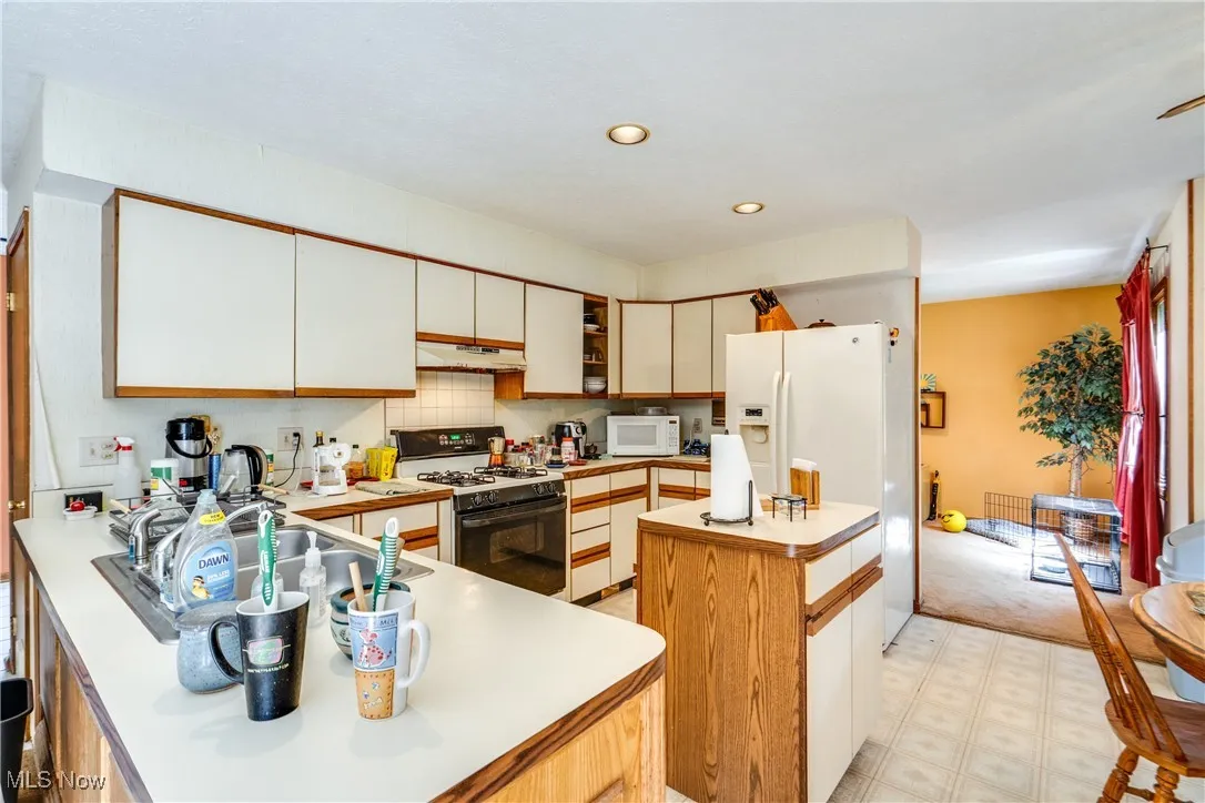 6688 Renwood Road, Independence, Ohio,MLS Now Listing ID