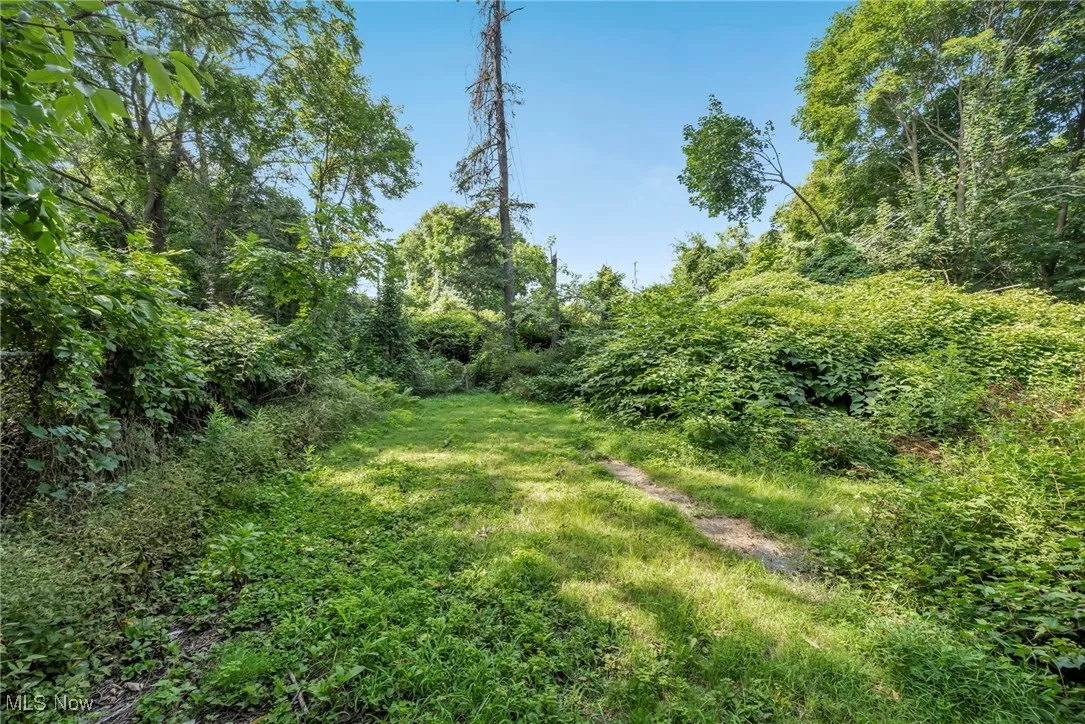 View of yard featuring a view of trees