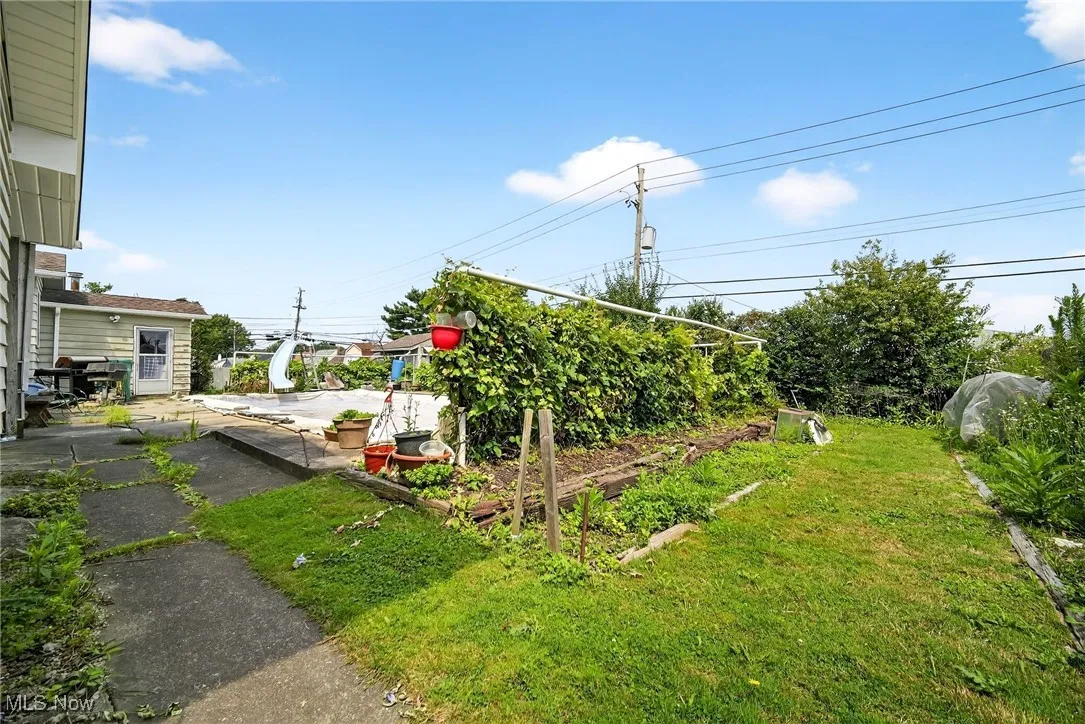 Back yard