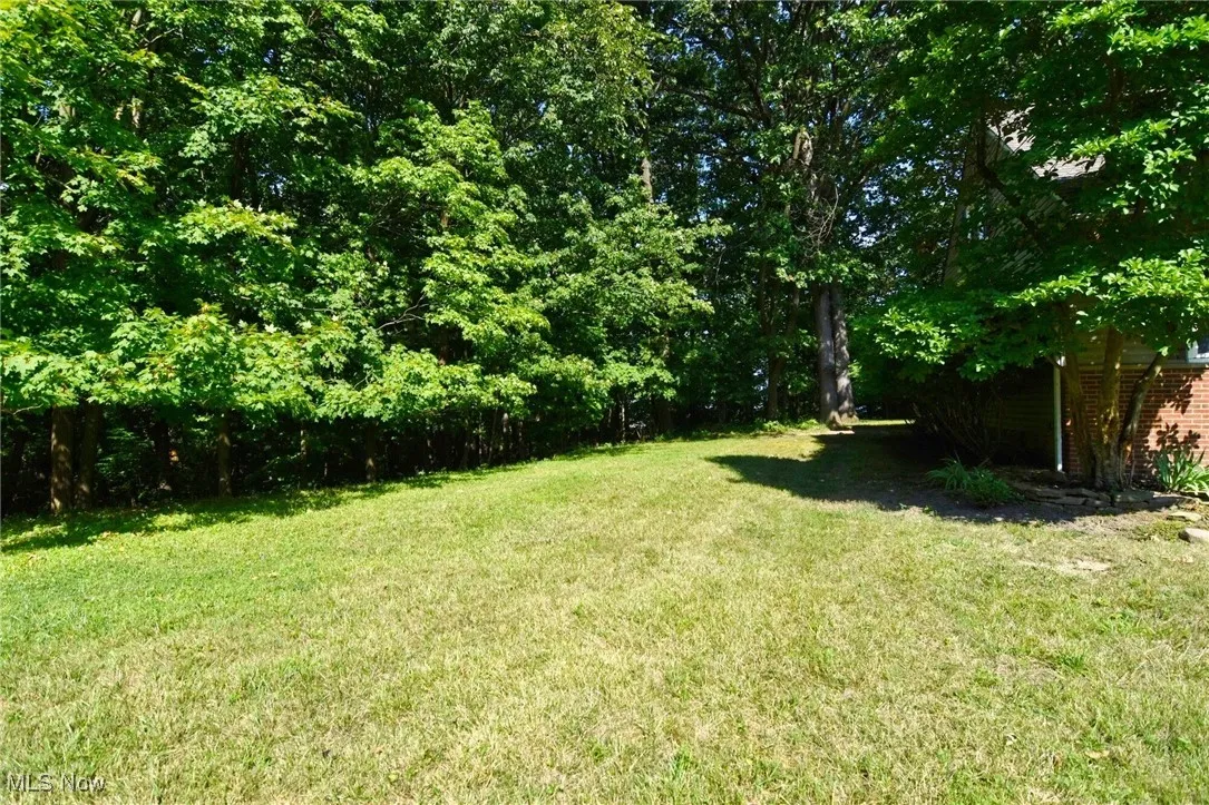 View of grassy yard