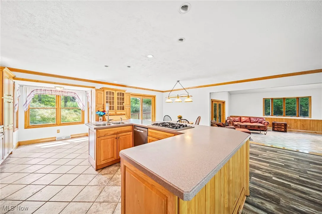 9824 Hoose Road, Mentor, Ohio,MLS Now Listing ID