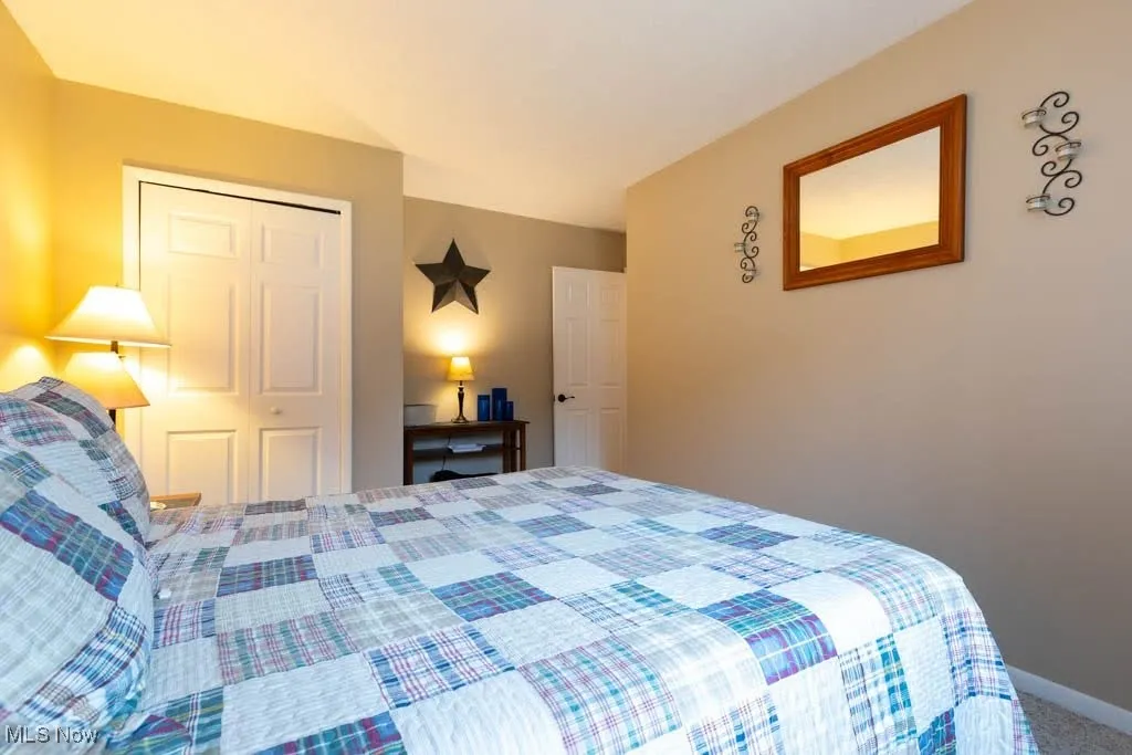 Carpeted bedroom with a closet
