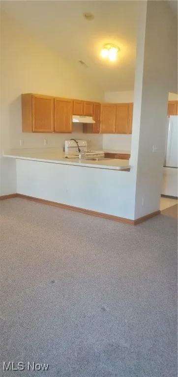 Kitchen with carpet floors, stove, ventilation hood, and fridge