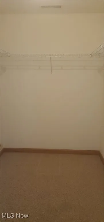 Walk in closet with carpet floors