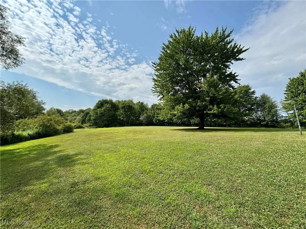 View of back yard