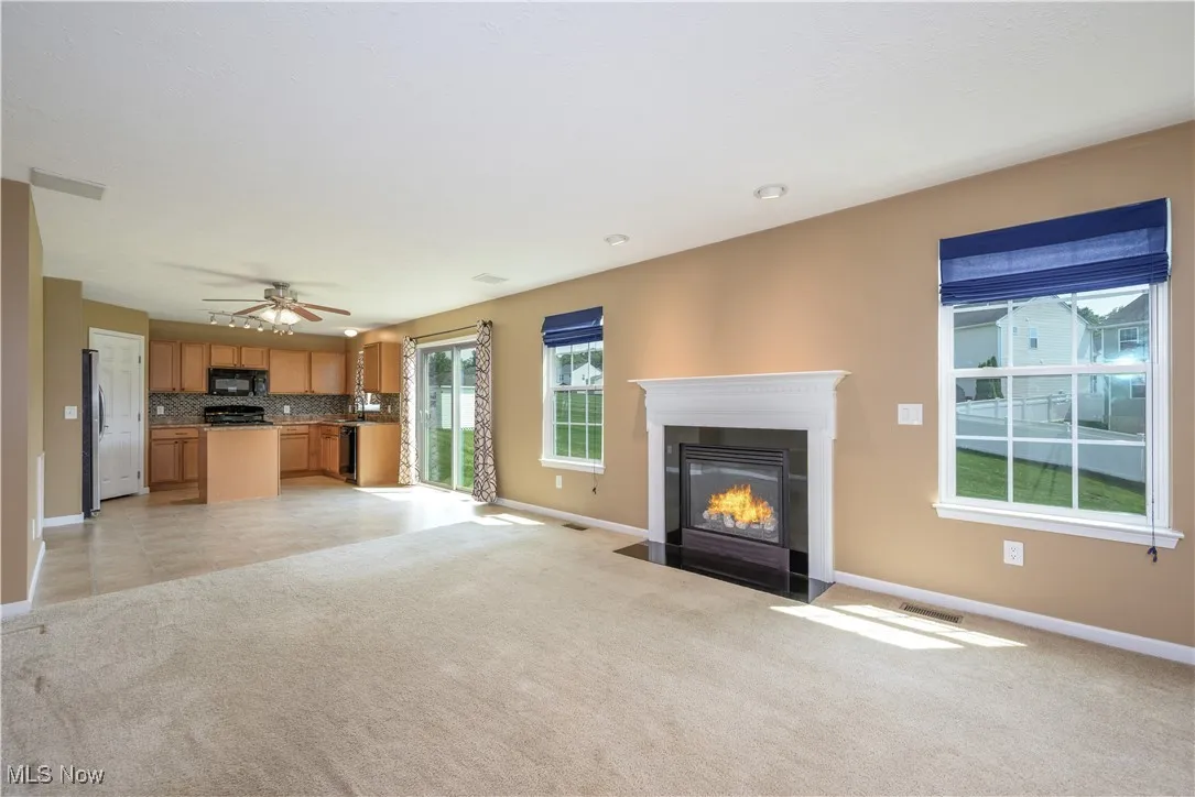 Living room featuring fireplace