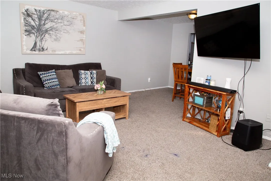 Living area featuring carpet floors and a textured ceiling