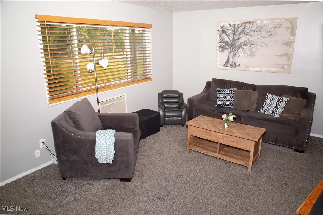Spacious living room