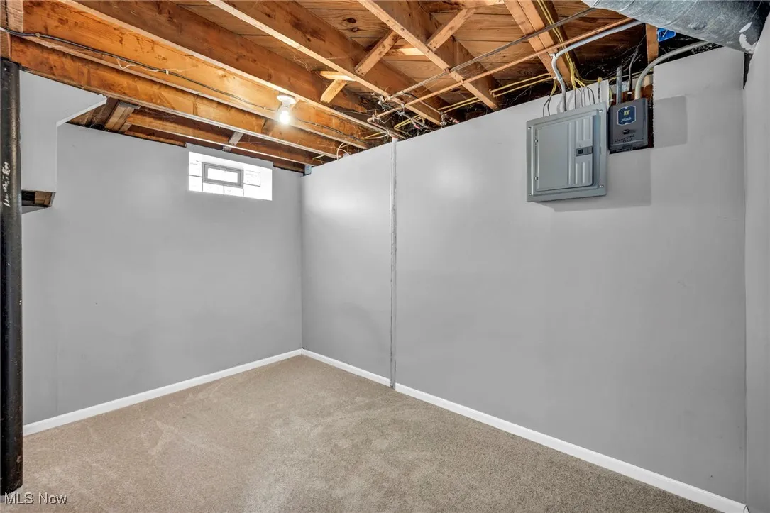 Basement with carpet floors and electric panel