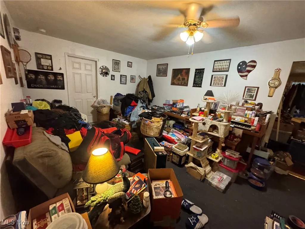 Living area with a ceiling fan