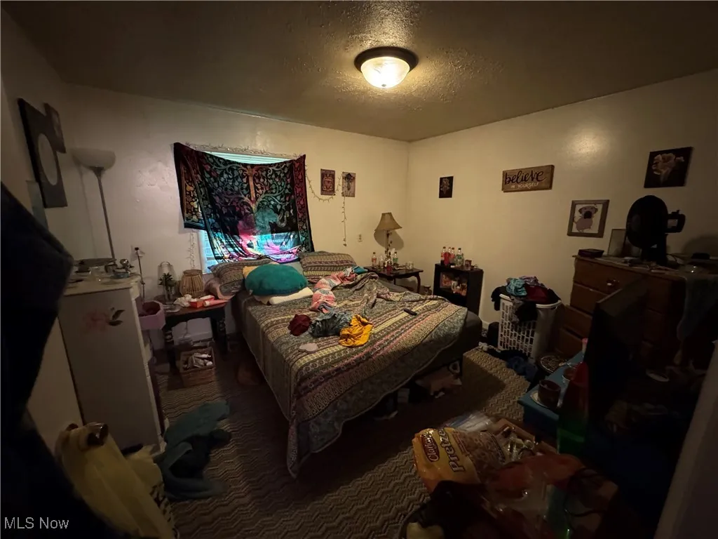Carpeted bedroom featuring a textured ceiling