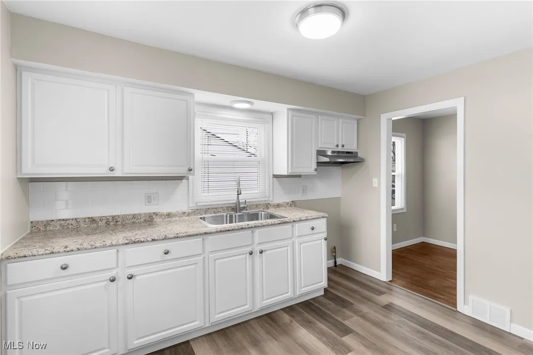 Kitchen with a sink, white cabinetry, tasteful backsplash, under cabinet range hood, and visible vents