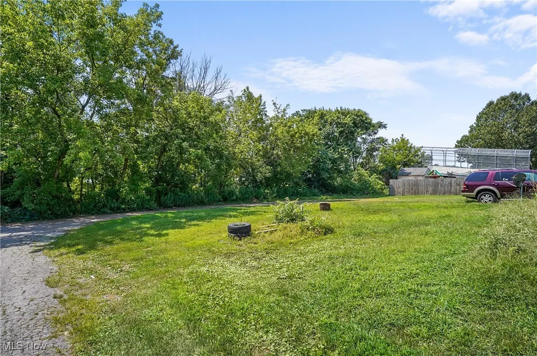View of grassy yard
