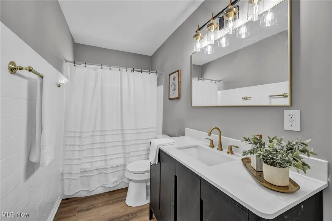 Full bathroom with vanity, wood finished floors, and curtained shower