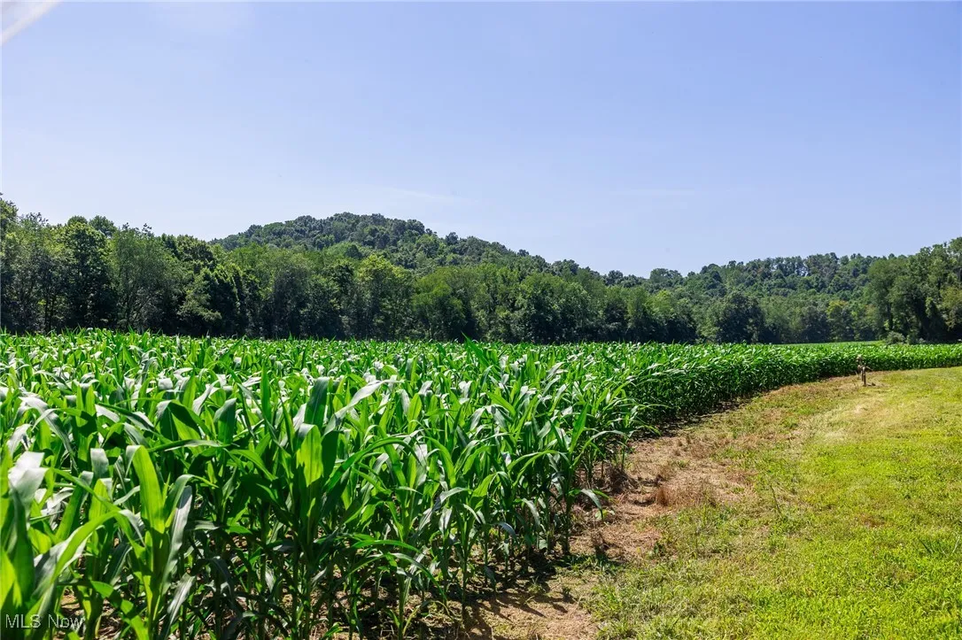 21221 Township Rd 257, Newcomerstown, Ohio,MLS Now Listing ID