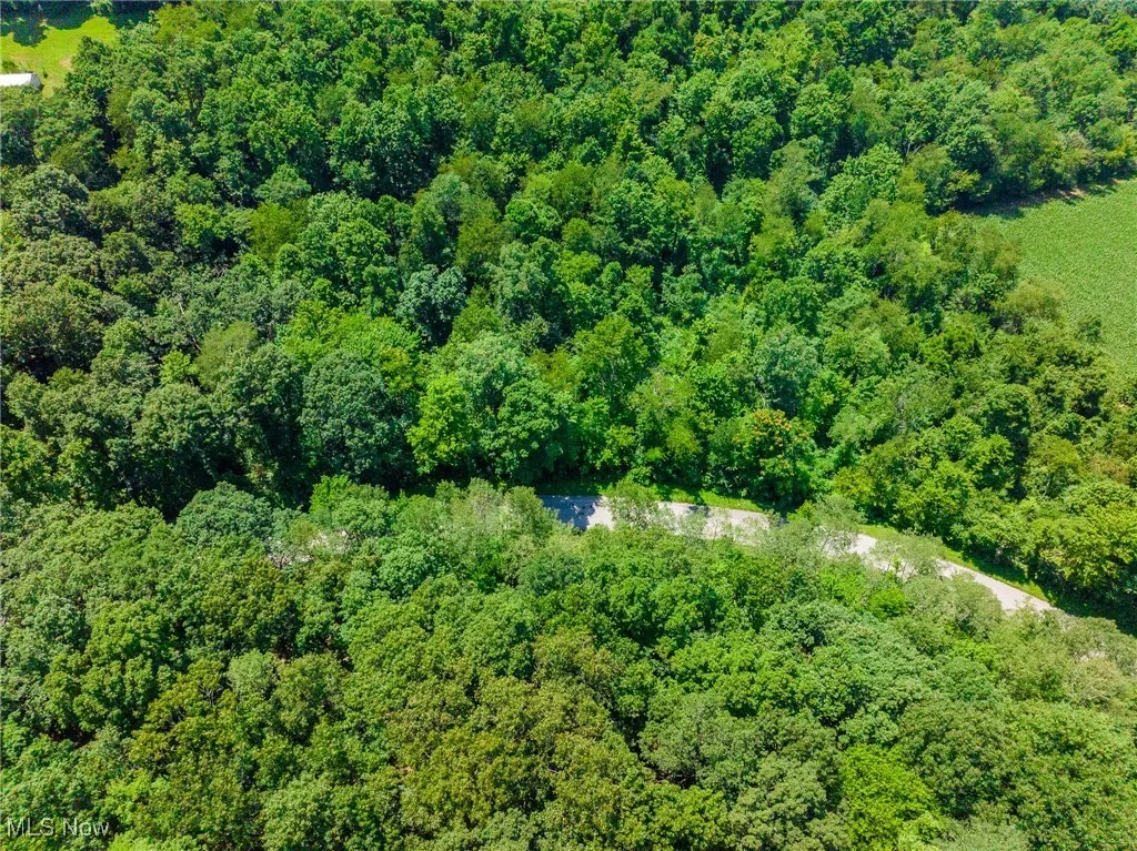 21221 Township Rd 257, Newcomerstown, Ohio,MLS Now Listing ID