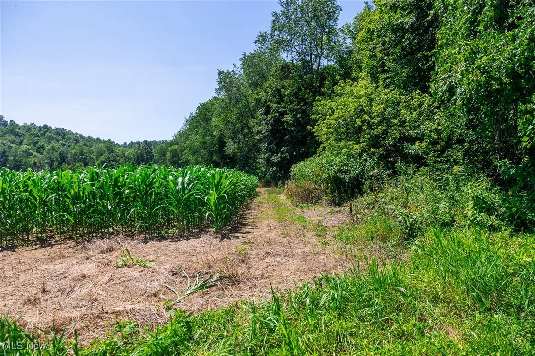 21221 Township Rd 257, Newcomerstown, Ohio,MLS Now Listing ID