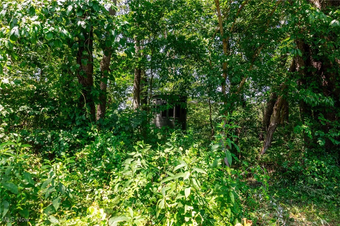 21221 Township Rd 257, Newcomerstown, Ohio,MLS Now Listing ID