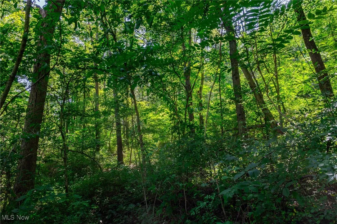 21221 Township Rd 257, Newcomerstown, Ohio,MLS Now Listing ID