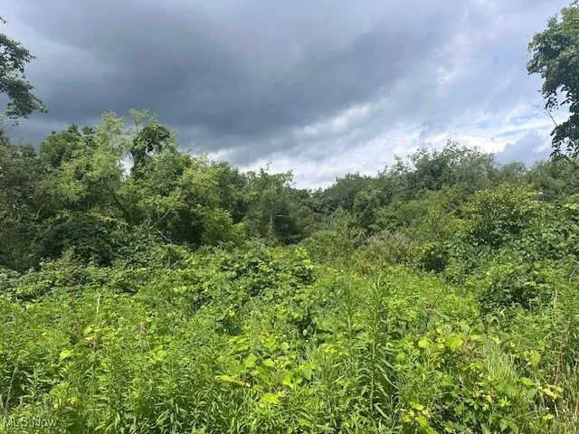 1933 State Route 45, Austinburg, Ohio,MLS Now Listing ID