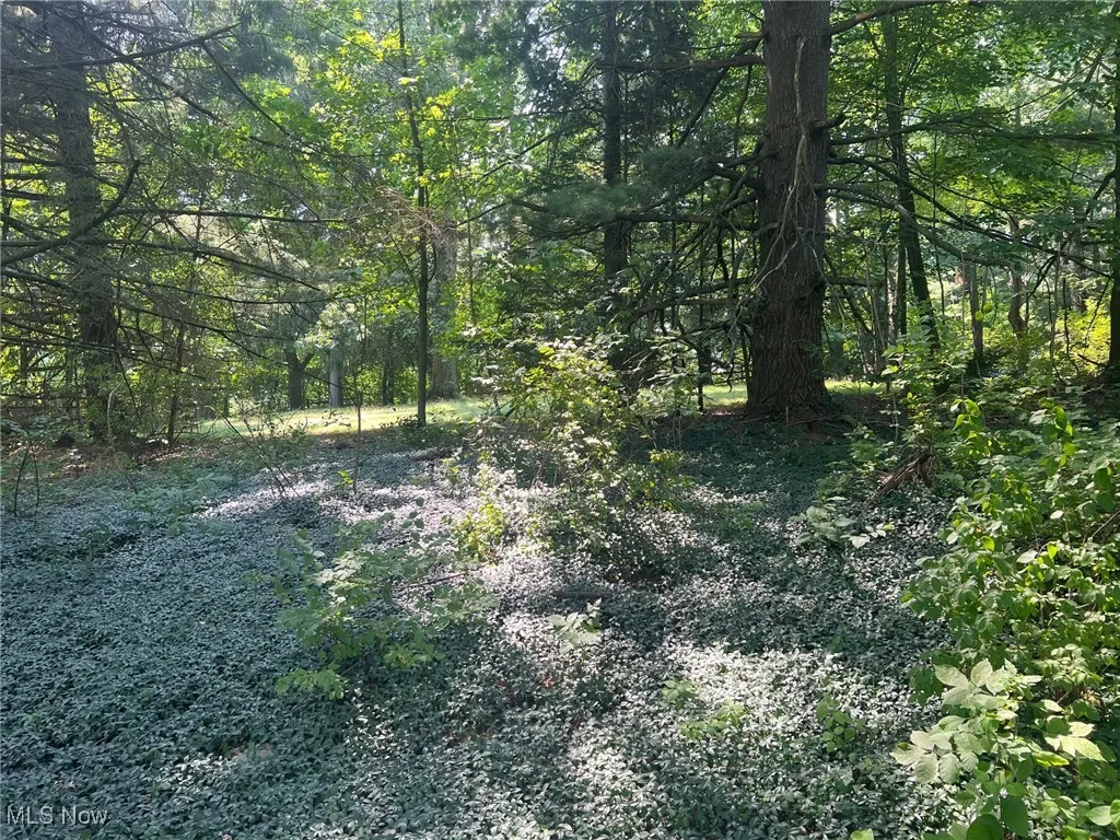 View of wooded area