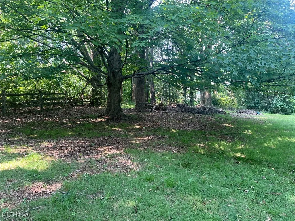View of hilltop wooded area