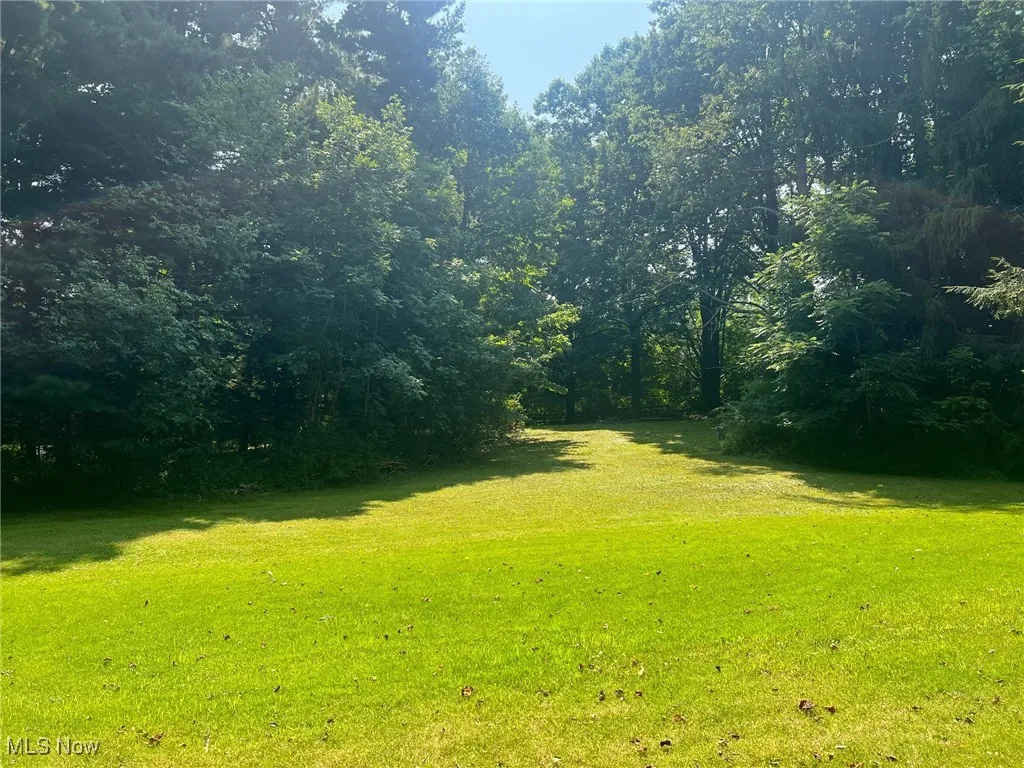 View of grassy back yard
