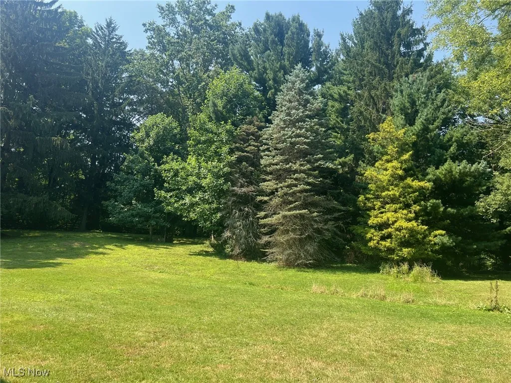 View of back yard