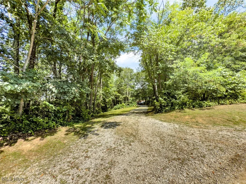 View of road featuring a view of trees