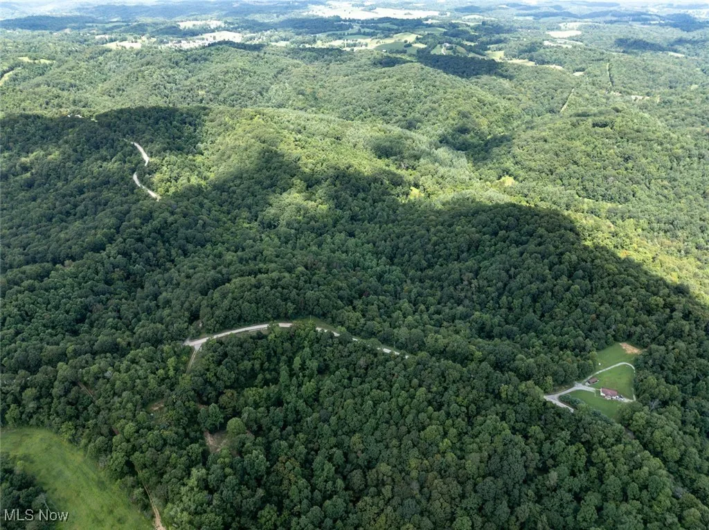 Aerial view of property's location with a forest