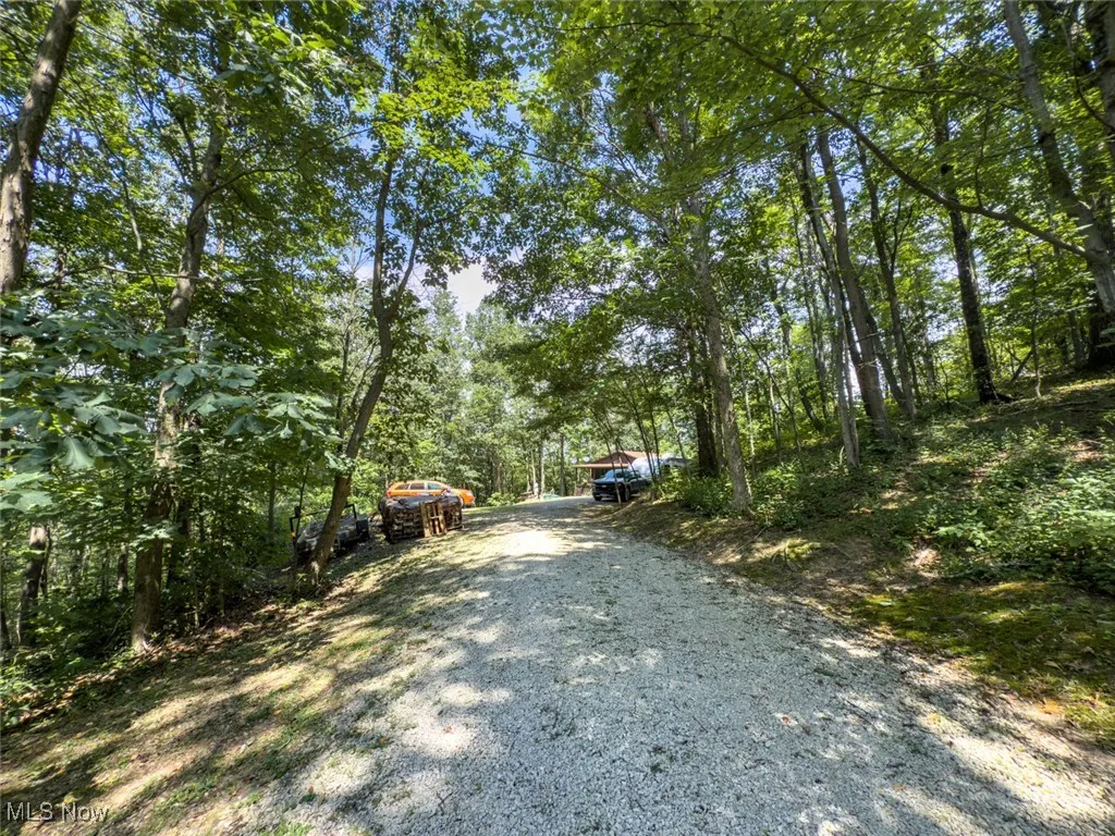 View of dirt / gravel driveway featuring a forest view