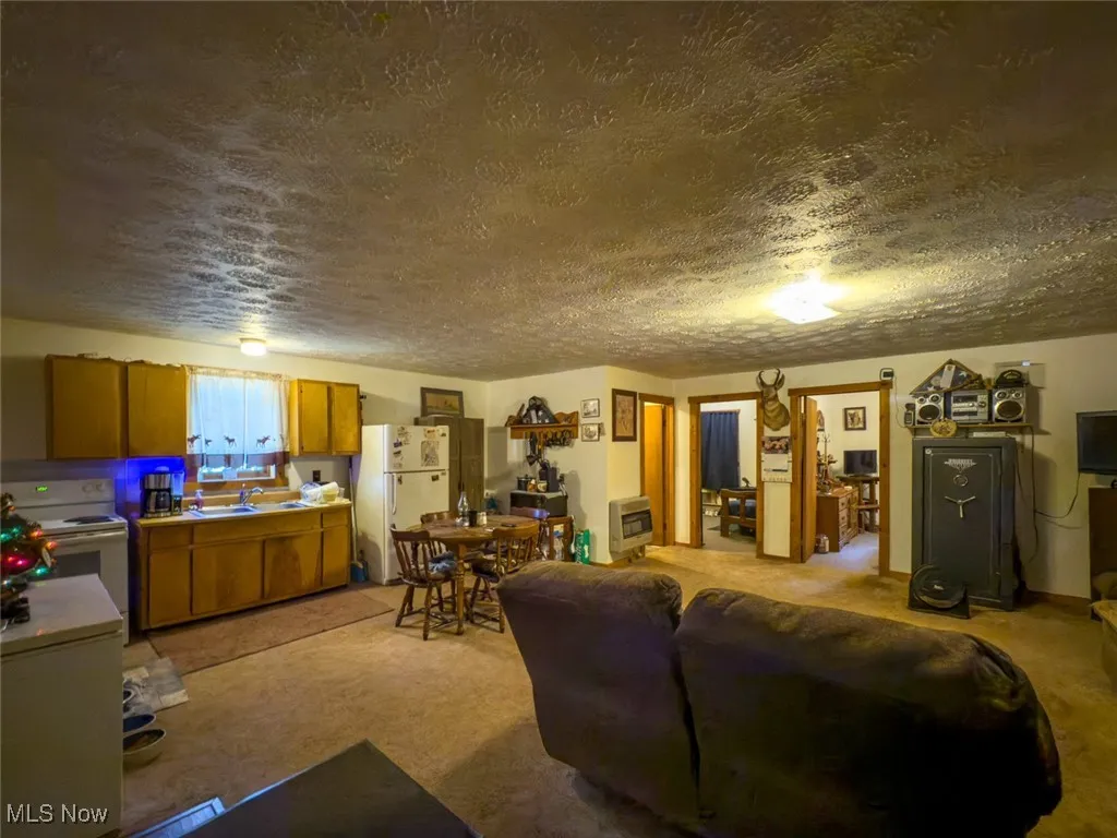 Living area with a textured ceiling, heating unit, and light colored carpet