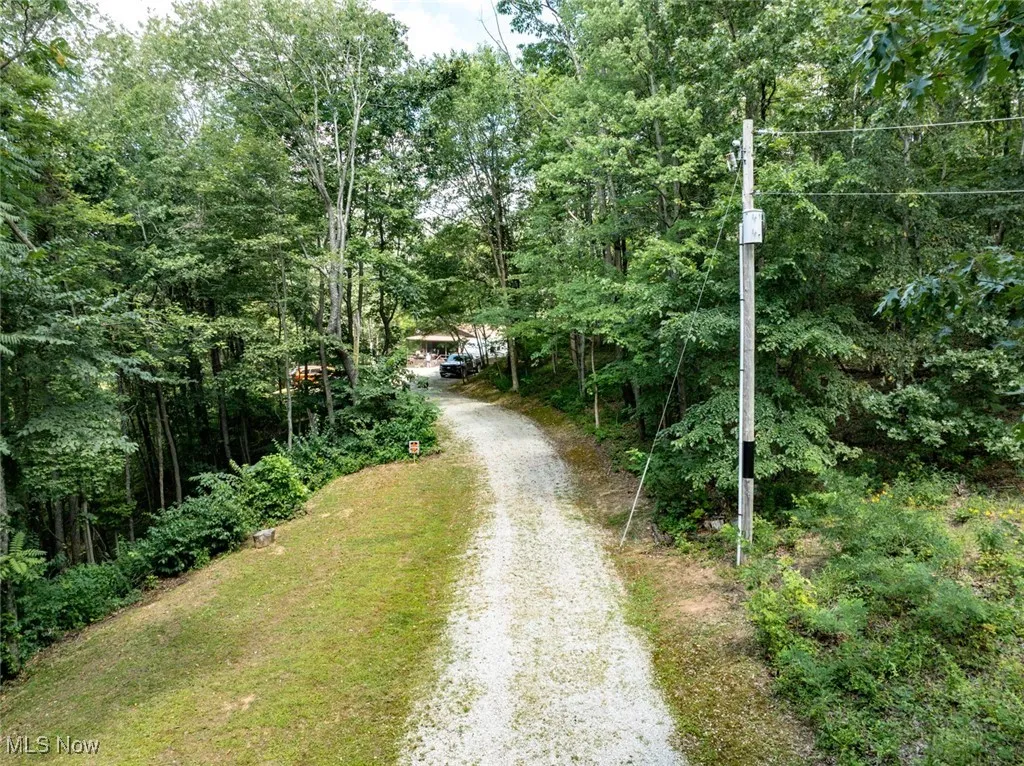 View of dirt / gravel road featuring a forest view