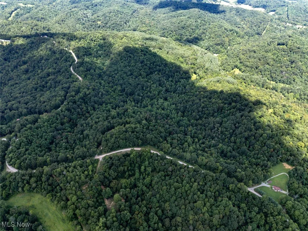 View of property location with a forest