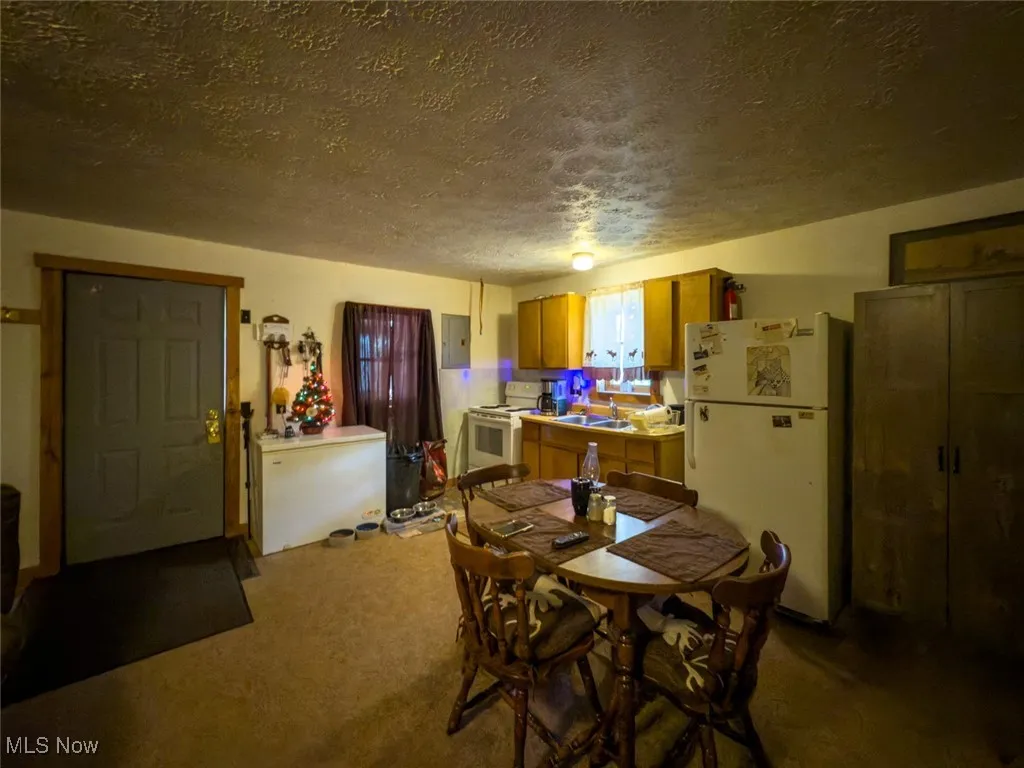 Dining space featuring a textured ceiling, electric panel, and carpet