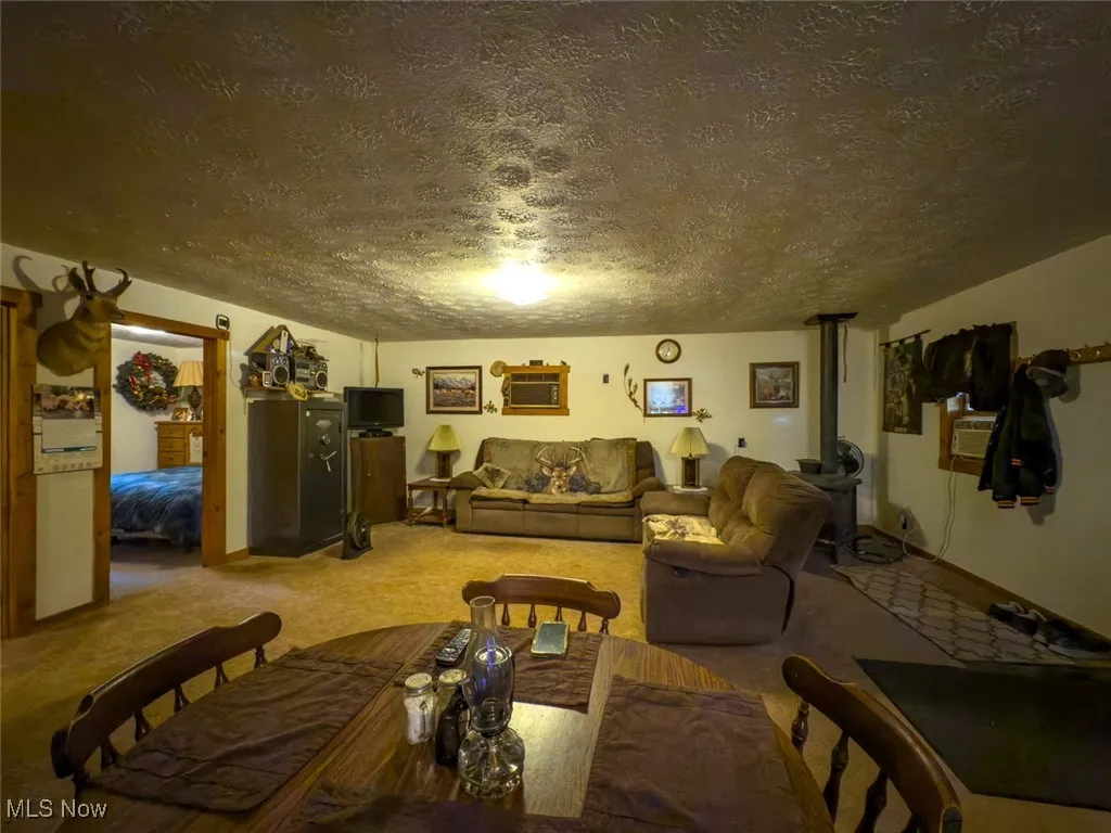 Living room with a textured ceiling, a wood stove, light carpet, and a wall mounted air conditioner